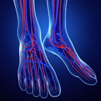 critical limb ischemia represented by 2 feet displaying the veins and arteries with red and blue animation